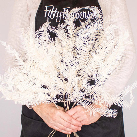 Dried Bleached Mini Fern Flower Bunch in Hand