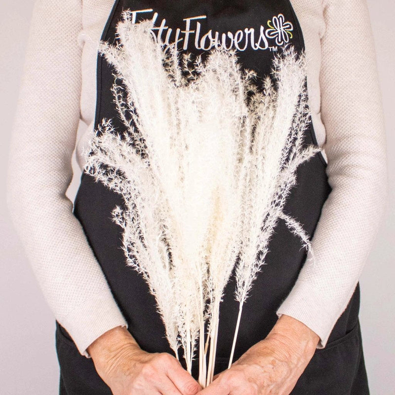 Dried Bleached Miscanthus Flower Bunch in Hand