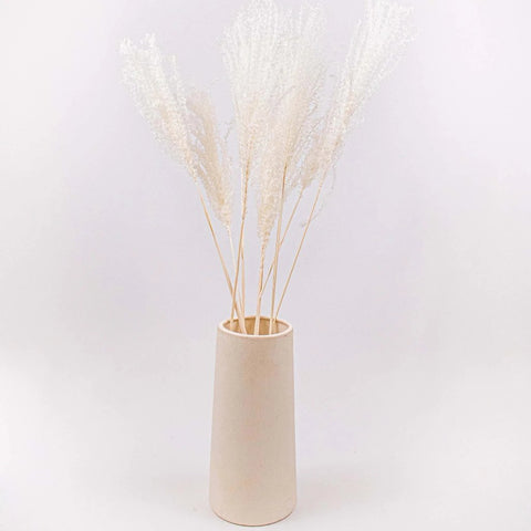 Dried Bleached Miscanthus Flower Bunch in Vase