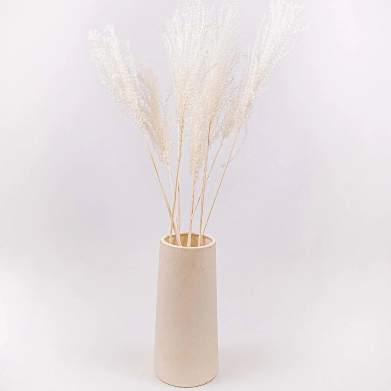 Dried Bleached Miscanthus Flower Bunch in Vase