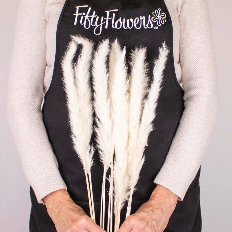 Dried Bleached Tail Reed Flower Bunch in Hand