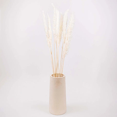 Dried Bleached Tail Reed Flower Bunch in Vase