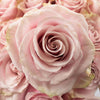 Pink Mondial Rose