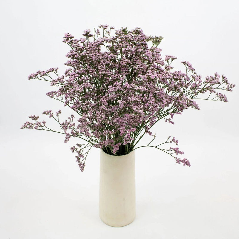 Dusty Mauve Limonium Flower Bunch in Vase