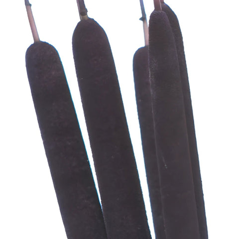 Eggplant Purple Airbrushed Cattails