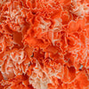 Orange Enhanced Carnation Flowers
