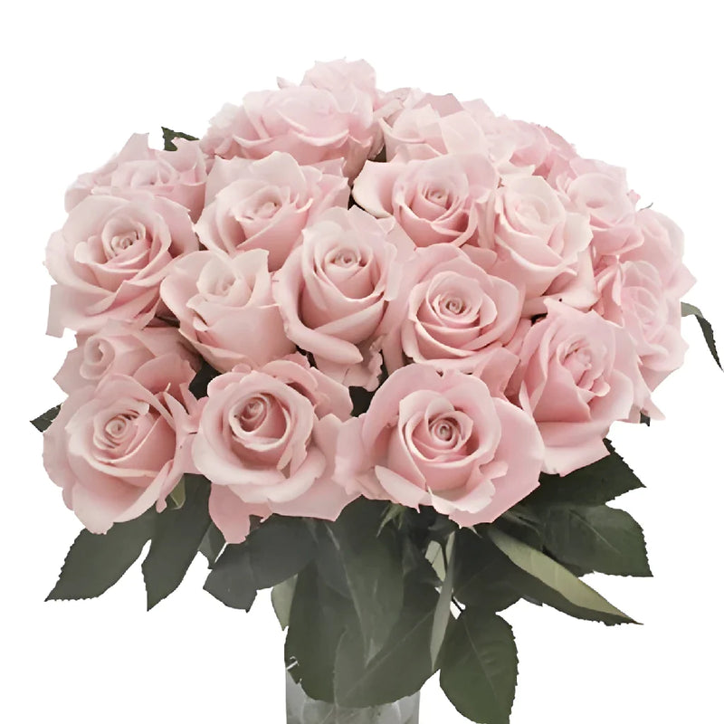 Esther Light Pink Roses Vase - Image