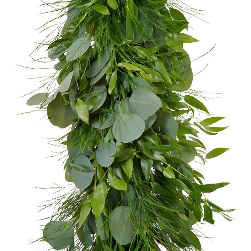 Silver Eucalyptus, Italian Ruscus, and Tree Fern Wholesale Greenery Up Close