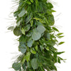 Silver Dollar Eucalyptus, Italian Ruscus and Tree Fern Garland