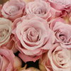 Faith Wholesale Lavender Roses