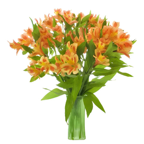 Fruit Punch Alstroemeria Flowers Vase - Image