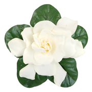 Ready To Go Wholesale Centerpieces Card