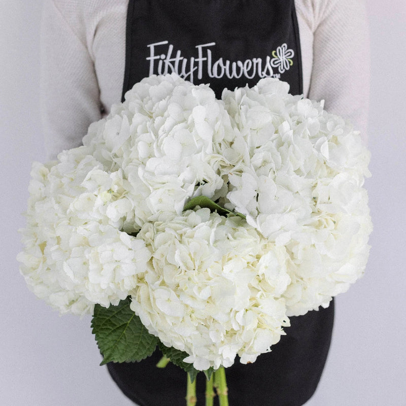 Giant Pure White Hydrangea Flower Apron - Image