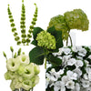 Green Bells and Ruffles Wedding Flower Package