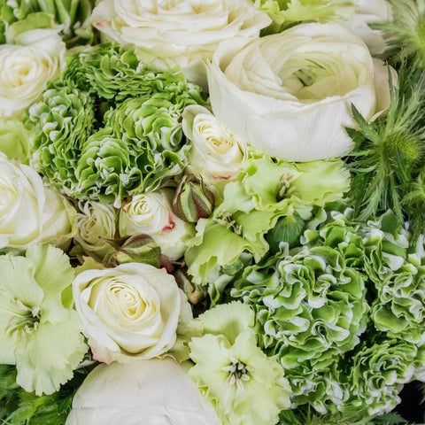 Green DIY Flower Kit Up Close