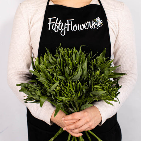 Green Planet Alstromelia Flower Bunch In Hand
