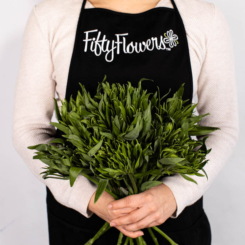 Green Planet Alstromelia Flower Bunch In Hand