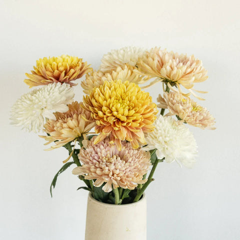 Honeycomb Chrysanthemum Flower Kit Stem - Image