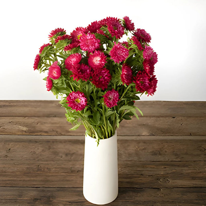 Hot Pink Matsumoto Flowers