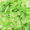 Hydrangea Light Green Airbrushed