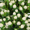 Snow White Designer Hypericum Berries