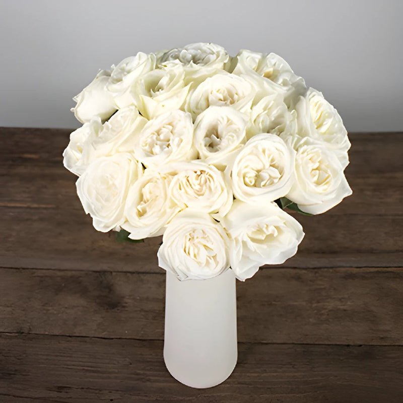 Jeanne Moreau Garden Wholesale Roses In a vase