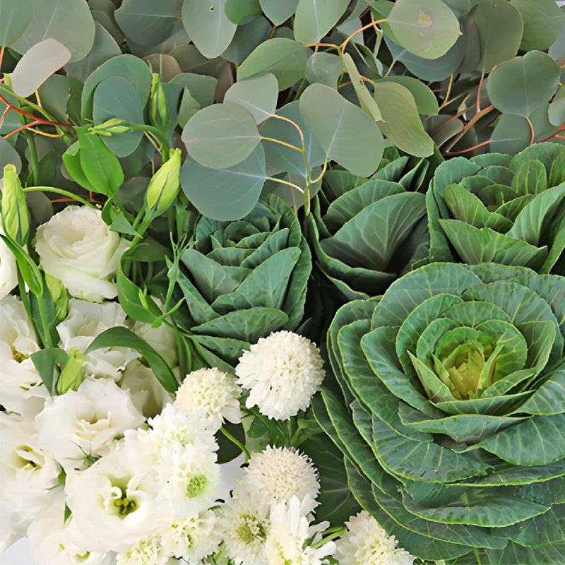 Kale Garden Party White DIY Flower Kit Up Close