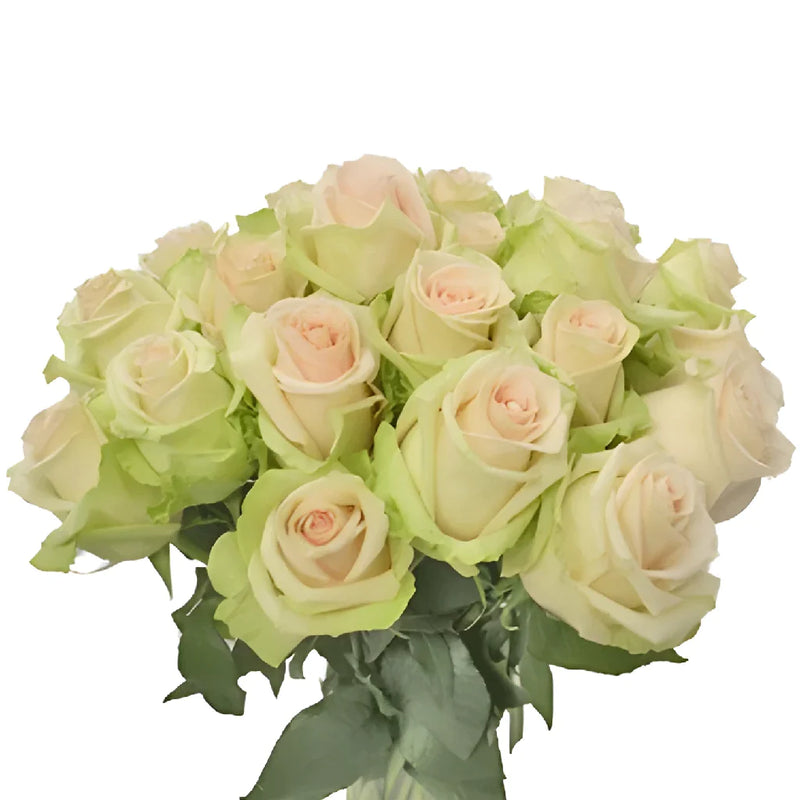 La Perla Peach Rose Vase - Image