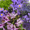 Lavender Textured Filler Flower Pack