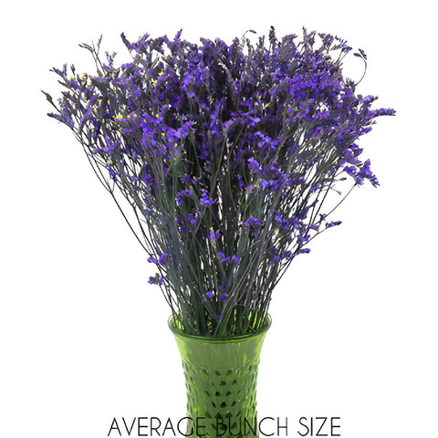 Purple Airbrushed Limonium Flower