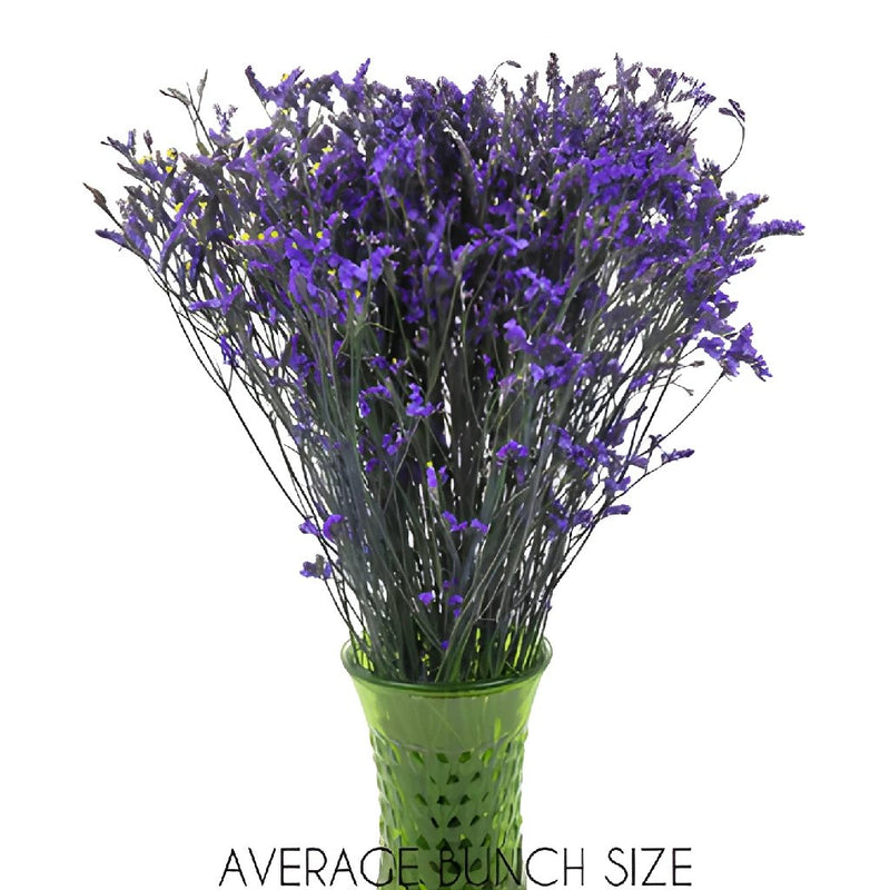 Purple Airbrushed Limonium Flower