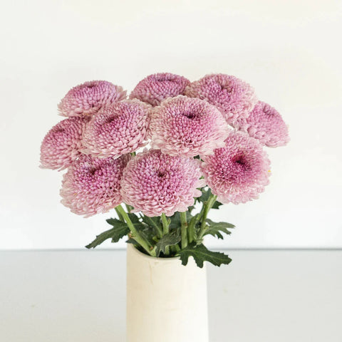 Lipgloss Vase - Image