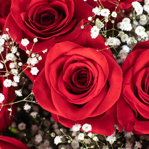 Long Stem Red Wedding Flower Bouquet