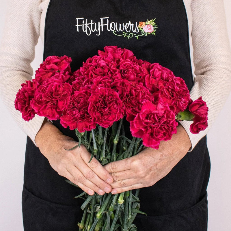 Magenta Carnation Flower Bunch in Hand