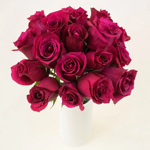 Merlot Red Roses in a Vase