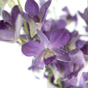 Ready To Go Wholesale Centerpieces Card