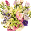Assorted Mini Lisianthus Wholesale Flower
