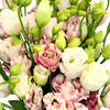 Dusty Rose Splash Mini Lisianthus Flower