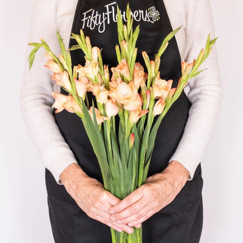 Mini Gladiolus Peach Wholesale Flowers in Hands