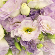 Ready To Go Wholesale Centerpieces Card
