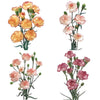 Mixed Novelties Mini Carnation Flowers