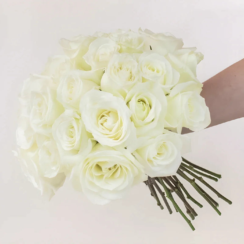 Mojito White Roses Hand - Image