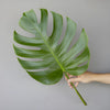 Monstera Leaves Tropical Greenery Small