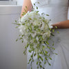 Orchid Flower Wedding Pack 50 Dendrobium