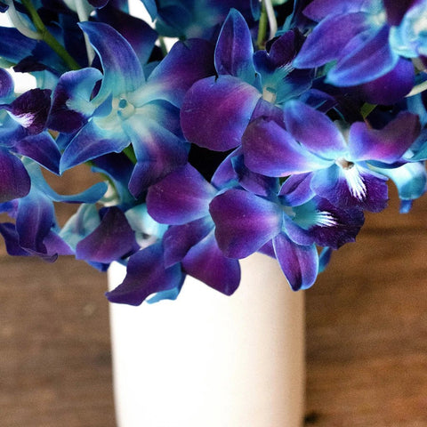 Orchids Blue Wholesale Flower In a Vase