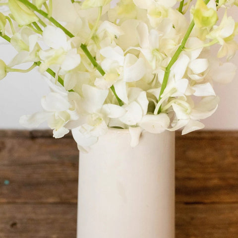 Orchids White Wholesale Flowers In a Vase