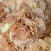 Carnation Flowers in Bulk Antique Peach