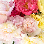 Ready To Go Wholesale Centerpieces Card