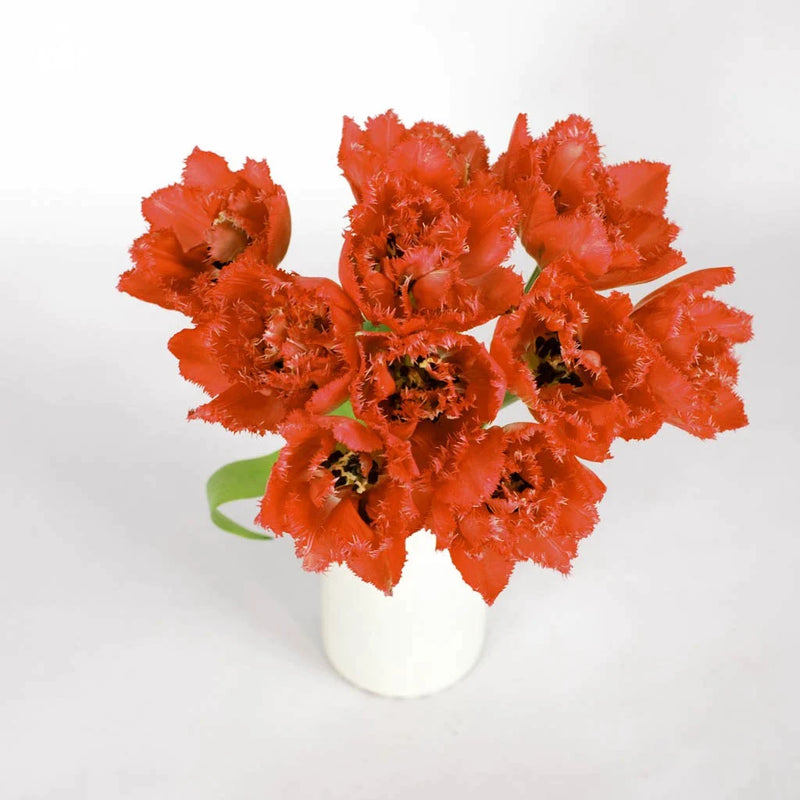 Petticoat Frill Fringed Tulip Vase - Image