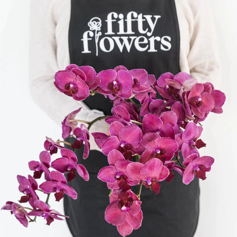 Phalaenopsis Orchid Red Dream Apron - Image